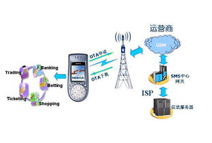 大唐微电子移动通信智能卡解决方案 构筑网络与信息安全的坚固防线